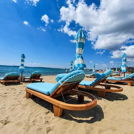 Vip Club Dolphin Coast